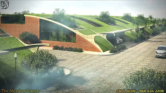 THE MEADOW DANCE PHASE-II