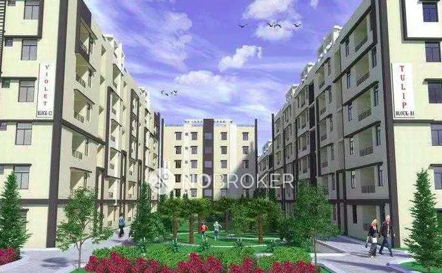SIKHARA TULIP