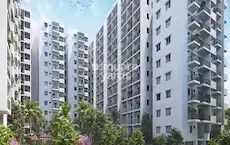 SPI s STAR HEIGHTS