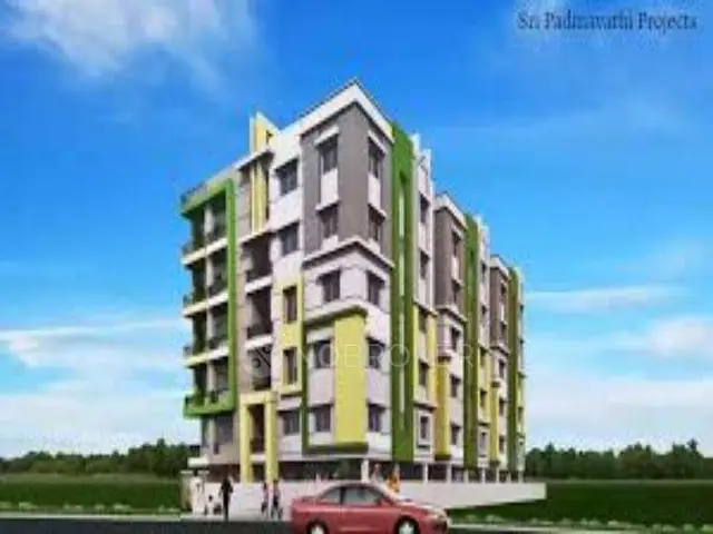 SRI PADMAVATHI PROJECTS